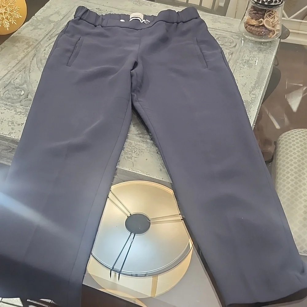 Aritzia Wilfred Darontal Gray Crepe Pull On Gray Trousers 6 - Picture 4 of 11